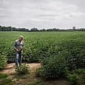 Fossil fuel interests are working to kill solar in one Ohio county. The local newspaper is helping