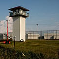 Millions of dollars of waste found in Trump administration push for immigration detention