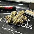High-potency cannabis fuels state debates over psychosis and addiction risks
