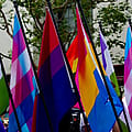 LGBTQ+ adults more likely to miss or forgo healthcare, survey finds