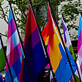 Ohio BMV removes gender change form, says it’s ‘not compatible’ with state law