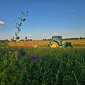 Ohio farmers need help after tariffs, foreign competition bring big struggles