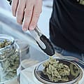 Ohio Republican lawmakers again seek to override voters on legal weed law in blatant cash-grab