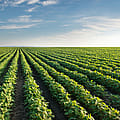 In Ohio, solar is no big threat to farmland
