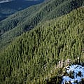 Trump administration advances plan to rescind protections for nearly 45 million wild acres