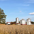 Trump has now twice devastated Ohio’s farm economy, and twice used taxpayer money for a bailout