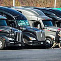 Trump looks to veterans to fill trucking jobs after booting immigrants from industry