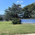 USDA union leaders rally against proposed DC downsizing