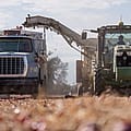 Vermont is first state to ban toxic herbicide paraquat, as others may follow