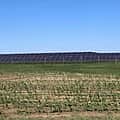 6,000-acre solar project permit nixed by Ohio Supreme Court, for now at least