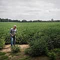 Fossil fuel interests are working to kill solar in one Ohio county. The local newspaper is helping