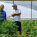 Hemp growers, retailers targeted in section of government shutdown legislation