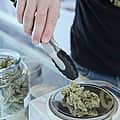 Ohio Republican lawmakers again seek to override voters on legal weed law in blatant cash-grab