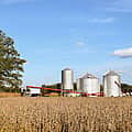 Trump has now twice devastated Ohio’s farm economy, and twice used taxpayer money for a bailout