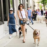 Barking Lot Party returns to downtown Tiffin on May 21