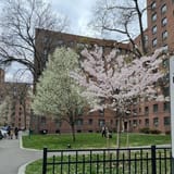 Emergency housing vouchers are ending early, leaving cities and renters scrambling