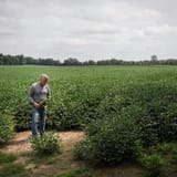 Fossil fuel interests are working to kill solar in one Ohio county. The local newspaper is helping