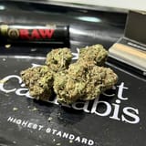 High-potency cannabis fuels state debates over psychosis and addiction risks