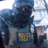 ICE to outfit agents with electric shock gloves from KY company in $20 million no-bid contract