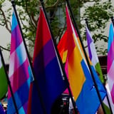 LGBTQ+ adults more likely to miss or forgo healthcare, survey finds