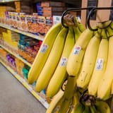 Medicaid meal deliveries reduce hospital visits and costs