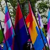 Ohio BMV removes gender change form, says it’s ‘not compatible’ with state law