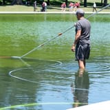 An Ohio company won a no-bid contract to keep the Reflecting Pool clear. It turned green instead.
