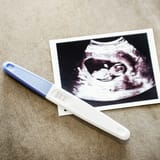 Ohio GOP bill would create state registry of pregnancies, require fetal death certificates