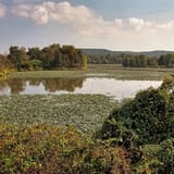 Ohio has made $314 million by opening state lands to fracking