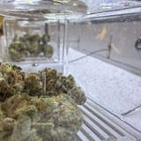 Ohio’s recreational marijuana prices are higher than what Michigan customers pay