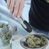 Ohio Republican lawmakers again seek to override voters on legal weed law in blatant cash-grab