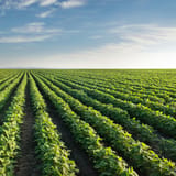 In Ohio, solar is no big threat to farmland