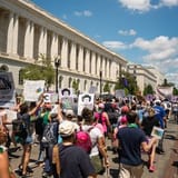 RNC approves platform that would give rights to fetuses, endangering abortion, IVF