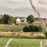 The Record: Northwest Ohio under Trump vs. Biden/Harris