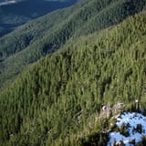 Trump administration advances plan to rescind protections for nearly 45 million wild acres
