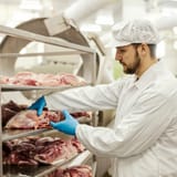 Trump’s tariff moves threaten America’s struggling beef industry, rancher says