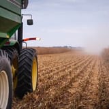 Trump struck a deal for China to buy $17B a year in US ag products. Farmers are skeptical.