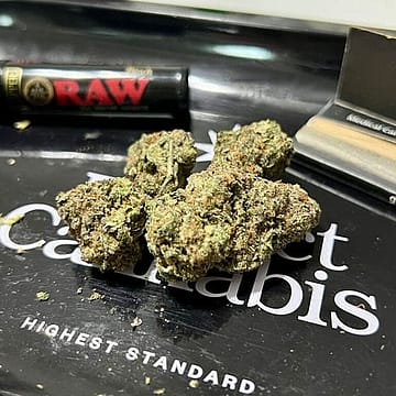 High-potency cannabis fuels state debates over psychosis and addiction risks