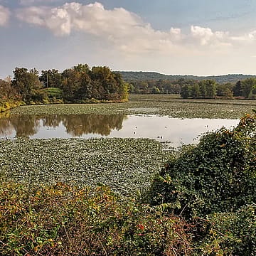 Ohio has made $314 million by opening state lands to fracking