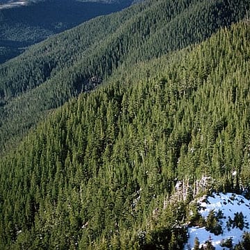 Trump administration advances plan to rescind protections for nearly 45 million wild acres
