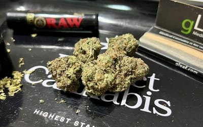 High-potency cannabis fuels state debates over psychosis and addiction risks