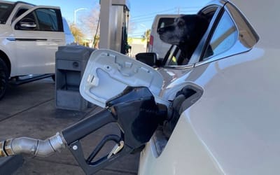 Will gas tax gimmick make Ohioans forget why we are in this mess and who got us here?