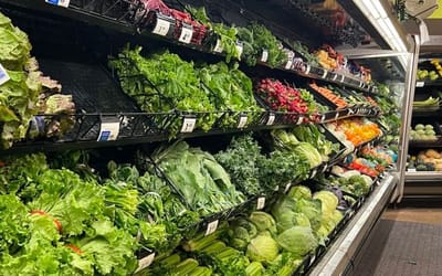 A summer of recalls exposes holes in the nation’s food safety net