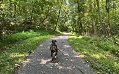 Tick season is getting longer. So is the list of states trying to keep up.