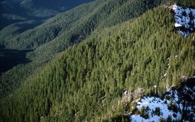 Trump administration advances plan to rescind protections for nearly 45 million wild acres