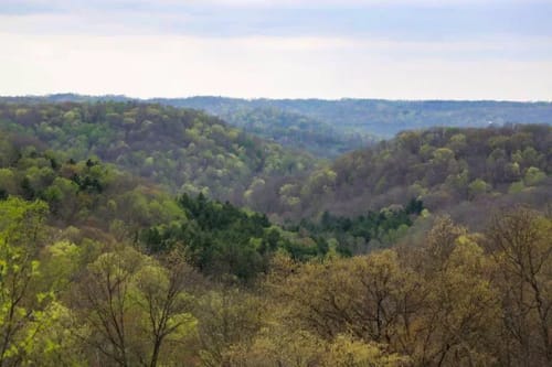 Feds advance plan to open 2,800 acres of Ohio’s Wayne National Forest to fracking