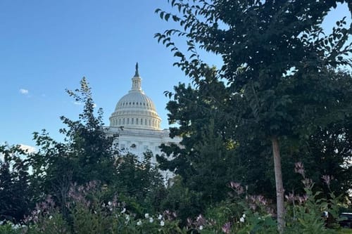 Food assistance funding cliff approaching as shutdown persists