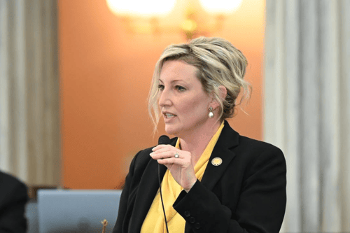 Developer behind proposed Portage County data center gave Heidi Workman $6,589 eight days before panel appointment