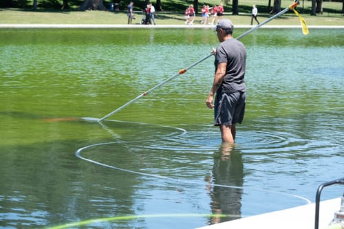 An Ohio company won a no-bid contract to keep the Reflecting Pool clear. It turned green instead.