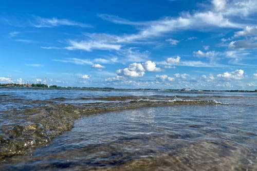 PFAS are turning up in the Great Lakes, putting fish and water supplies at risk